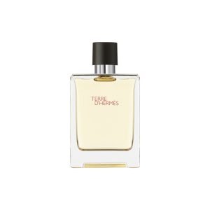 Hermes Terre D' Hermes EDT 100ML