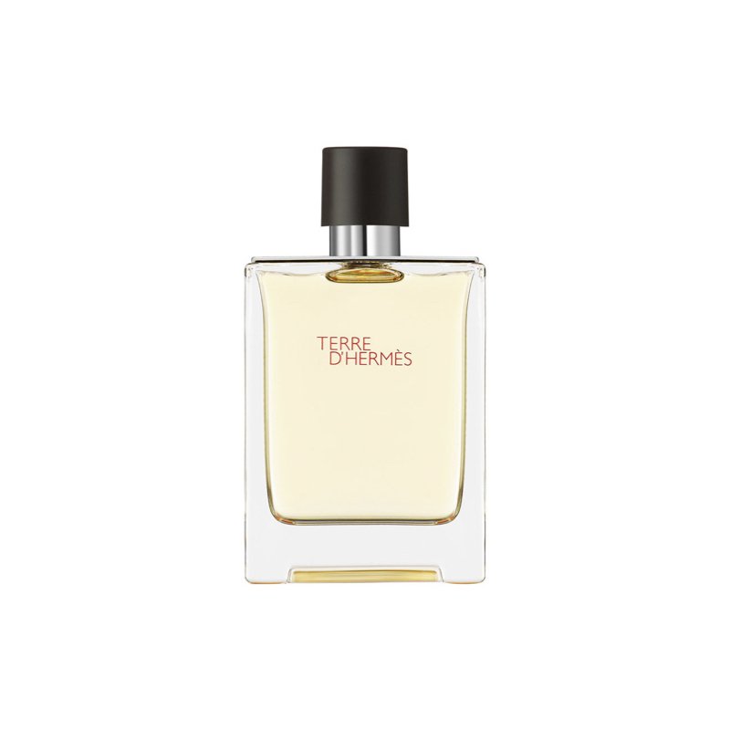 Hermes Terre D' Hermes EDT 100ML