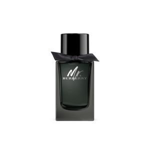 Burberry Mr Burberry EDP 100ML