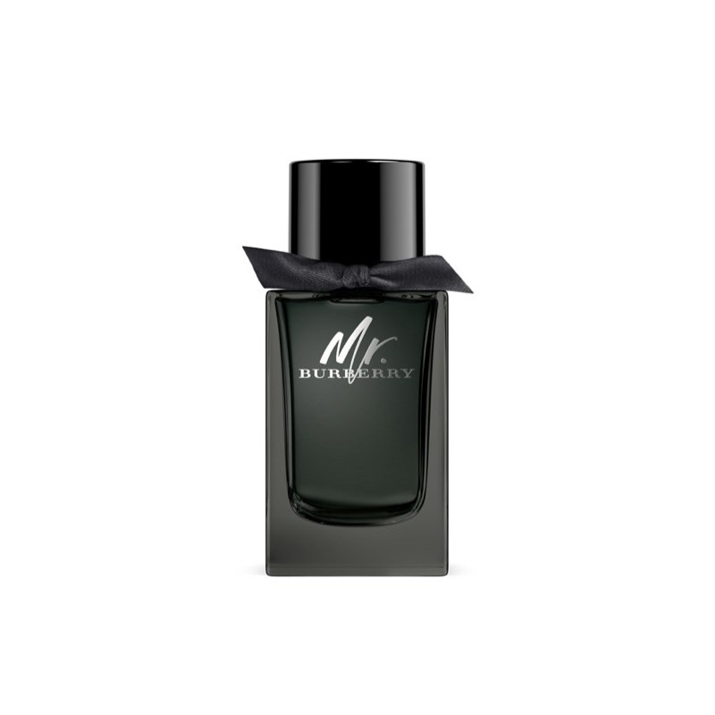 Burberry Mr Burberry EDP 100ML
