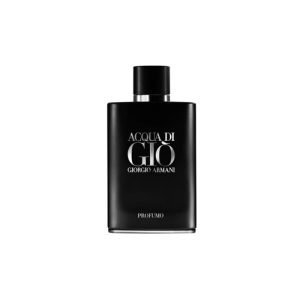 Giorgio Armani Acqua Di Gio Profumo 100ML